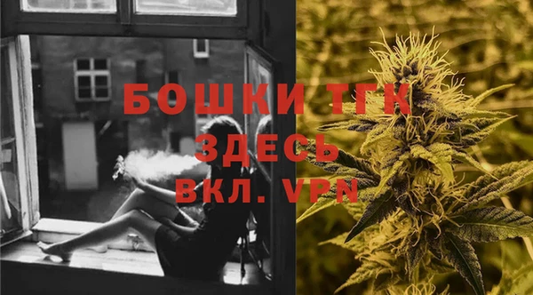 дмт Богородск