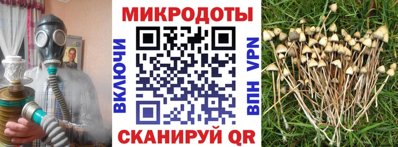 Псилоцибиновые грибы мухоморы  Моршанск 